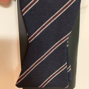 Brand New Navy Blue Burgundy Diagonal Line Bow Tie